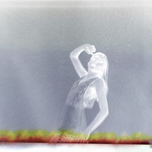 White Bride-Dove Transformation
